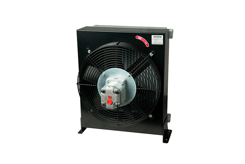 BC 390 I - Sesino